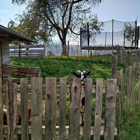 Daire Biobauernhof Schuster *